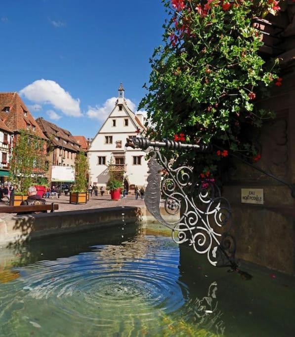 L'Appar'T - Centre Historique De Obernai Apartment Екстериор снимка