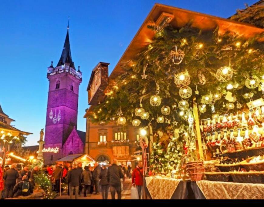 L'Appar'T - Centre Historique De Obernai Apartment Екстериор снимка