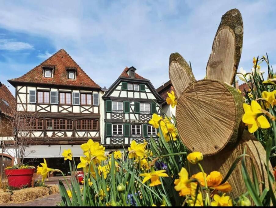L'Appar'T - Centre Historique De Obernai Apartment Екстериор снимка