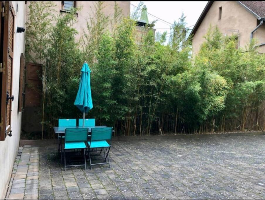 L'Appar'T - Centre Historique De Obernai Apartment Екстериор снимка